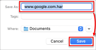 Safari kaydetme penceresi; dosya adı ve Save düğmesi